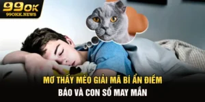 Mơ Thấy Mèo - Giải Mã Bí Ẩn Điềm Báo Và Con Số May Mắn