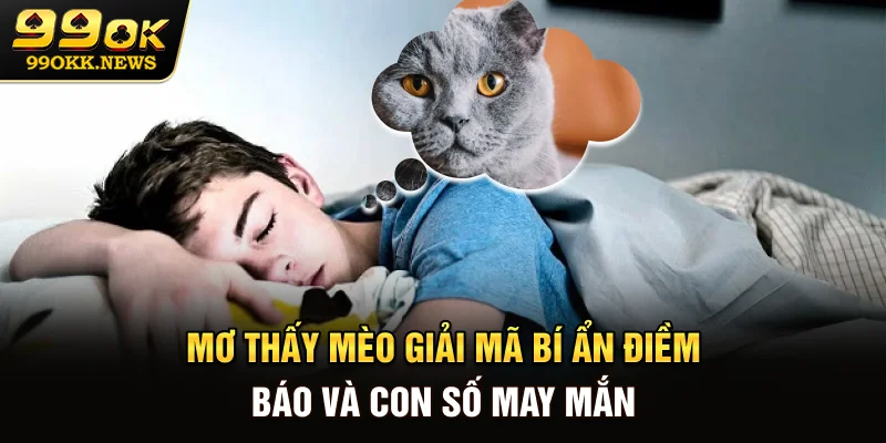 Mơ Thấy Mèo - Giải Mã Bí Ẩn Điềm Báo Và Con Số May Mắn
