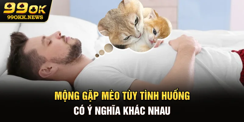 Mộng gặp mèo tùy tình huống có ý nghĩa khác nhau